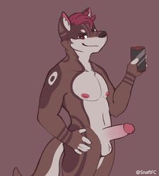 anthro balls canid canine erection genitals hand_on_hip hi_res humanoid_genitalia humanoid_penis looking_at_viewer male male_only mammal nipples penis phone snaftfc solo