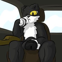 black_fur feline karlthefirst leo_(karlthefirst) male male_only
