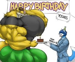 2020 anthro banner big_bulge big_muscles birthday birthday_cake birthday_hat blue_hair bottomwear brown_hair bulge cake candle canid canine closed_eyes clothing duo english_text food fox hair hi_res holding_object huge_bulge huge_muscles hybrid hyper hyper_bulge hyper_muscles hyper_pecs looking_at_another male mammal mario_(series) mark_(marvolk) marvolk muscular necktie nintendo nipples open_mouth pants shirt size_difference text tongue tongue_out topwear video_games yoshi yoshils_(character)