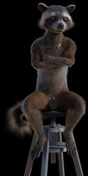 1:2 1boy 3d absurd_res anthro balls black_background brown_body brown_eyes brown_fur claws crossed_arms disney facial_markings front_view fur furniture genitals guardians_of_the_galaxy head_markings hi_res looking_at_viewer male male/male male_only mammal markings marvel mask_(marking) nude penis procyonid raccoon rocket_raccoon rockyrcoon seat simple_background sitting solo spread_legs spreading stool white_muzzle