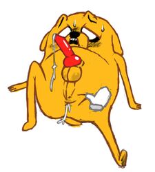 adventure_time animal_genitalia anus bodily_fluids buryingbeetle canid canine canis cartoon_network cum cum_drip cum_inside disembodied_hand domestic_dog dripping genital_fluids genitals jake_the_dog knot low_res male male_only mammal nude penis red_penis solo sweat