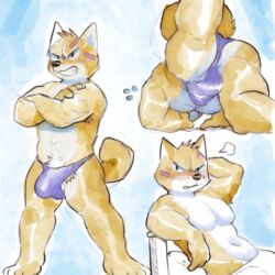 1:1 anthro armpit_hair ass blushed body_hair bulge canid canine canis character_request clothing domestic_dog glitter_trap_boy heart hi_res male male_focus male_only mammal muscular muscular_anthro muscular_male original original_character shiba_inu shortstack solo spitz underwear