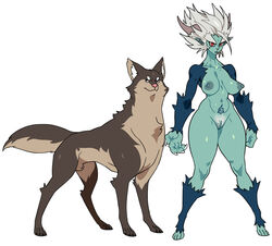 abs animal_genitalia big_hands blue_body blue_fur breasts canid canine canis chest_tuft claws demon demon_humanoid digitigrade duo eyebrows female feral fluffy fluffy_tail fully_sheathed fur genitals grey_body grey_fur hair horn humanoid humanoid_pointy_ears inner_ear_fluff jijis-waifus looking_away male mammal nipples nude pussy red_eyes sheath simple_background smile spread_legs spreading standing tail_tuft tattoo thick_eyebrows tuft white_background white_hair white_pubes wolf