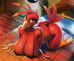 1girls all_fours ass avian banjo-kazooie bed big_ass big_breasts big_butt bikini bird butt feathers female_only furry kazooie pinup seductive solo thousandfoldfeathers underwear