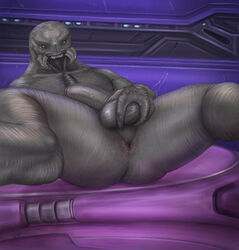 1boy absurd_res alien anthro anus arbiter_(halo) ass_focus ball_grab balls brouva detailed_background gay genitals halo_(series) hi_res looking_down lying male male_only male_sangheili_(halo) mandibles microsoft on_back penis presenting_ass sangheili solo spread_legs spreading thel_'vadam video_games xbox_game_studios