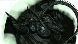 16:9 alien alien_(franchise) belly big_belly big_breasts breasts completely_nude female female_xenomorph hand_on_stomach huge_breasts humanoid hybrid implied_unbirth loneclaw monstrous_humanoid pregnant pregnant_female smile solo text weyland_yutani wide_hips widescreen xenomorph xenomorph_queen