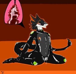 anthro blush buttplug cage chastity_(disambiguation) chastity_device collar hi_res kronas male male_only rubber sergal sex_toy solo