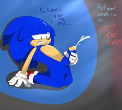 1boy absurd_res anthro balls bodily_fluids caught cum dialogue flamez footwear genital_fluids genitals handwear hi_res male male_only masturbation mobian_(species) mostly_nude penis public public_masturbation sega solo sonic_(series) sonic_the_hedgehog sonic_the_hedgehog_(series) sweat