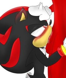 absurd_res anthro balls blush bodily_fluids duo flamez genitals hand_on_head hi_res kneeling knuckles_the_echidna male male/male oral penis saliva shadow_the_hedgehog sonic_(series) sonic_the_hedgehog_(series) tailwag