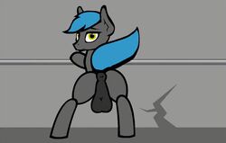 animated animated_gif anus ass_shake back_view balls earth_pony feral horse looking_at_viewer looking_back male male_oc male_only my_little_pony oc pony solo_male solo_oc stallion tarantuloo tenser_(oc)