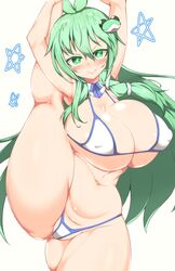 sanae kochiya from touhou by pandain