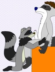 anthro duo erection hi_res looking_away male male/male mammal procyonid raccoon roquemapache roquemapache_(artist)