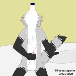 1:1 anthro bodily_fluids cum cum_on_chest genital_fluids looking_up male male/male mammal masturbation procyonid raccoon roquemapache roquemapache_(artist) solo