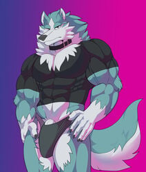 absurd_res anthro brand_new_animal bulge canid canine canis clothing collar genitals hi_res intimatewolf male male_only mammal muscular muscular_anthro muscular_male penis penis_base shirou_ogami shirt solo studio_trigger tight_clothing tight_shirt tight_topwear topwear underwear wolf