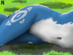 anthro belly blue_body blue_fur canid canine female fox fur genitals grass krystal lying lying_on_ground mammal nahadon navel nintendo nude on_side outside pussy solo star_fox video_games white_body white_fur