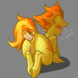 spitfire (mlp) from friendship is magic by welost