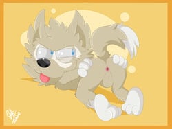 4:3 anthro anus balls canid canine canis fifa genitals greenwhiteroom male male_only mammal mascot nude spread_anus spreading tongue tongue_out wolf zabivaka