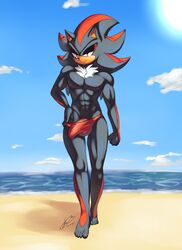 abs absurd_res anthro balls barefoot beach bulge clothing genitals hi_res male male_only muscular muscular_anthro muscular_male nipples penis seaside shadow_the_hedgehog soina solo sonic_(series) sonic_the_hedgehog_(series) swimwear walking_towards_viewer