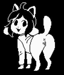 animated anus bottomless canid canine clothed clothing feral genitals hair low_res mammal pussy short_playtime solo tem temmie_(undertale) thumbnail undertale video_games white_body