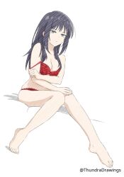 1girls 2d 2d_(artwork) 2d_artwork bare_arms bare_belly bare_calves bare_chest bare_hands bare_knees bare_legs bare_shoulders bare_skin bare_thighs bare_toes barefoot belly black-haired_female black_hair blank_expression blank_eyes blank_stare bored bored_expression bra breasts calves character_request cleavage collarbone cosmic_princess_kaguya digital digital_art digital_drawing digital_drawing_(artwork) digital_media digital_media_(artwork) drawing elbows emotionless exposed_arms exposed_belly exposed_chest exposed_legs exposed_shoulders exposed_skin exposed_thighs exposed_toes feet female female_focus female_only fingernails fingers frilled_bra frilled_panties frilled_underwear full_body green-eyed_female green_eyes hand_on_knee hand_on_leg hand_on_own_knee hand_on_own_leg high_resolution highres knees knees_together knees_together_feet_apart lace-trimmed_bra lace-trimmed_panties lace-trimmed_underwear lean_figure legs legs_closed legs_together legs_together_feet_apart long_hair looking_at_viewer matching_underwear medium_breasts mole_on_face mole_under_eye narrow_waist neutral_expression panties red_bra red_panties red_underwear shoulders simple_background sitting slender_body slender_waist slim_female slim_waist solo thighs thighs_together thundradrawings toes underwear underwear_only white_background