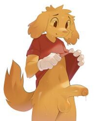 absurd_res anthro balls bird_dog bodily_fluids canid canine canis clothing domestic_dog genital_fluids genitals glitch_productions golden_retriever hi_res humanoid humanoid_genitalia humanoid_penis hunting_dog looking_at_genitalia looking_at_own_penis looking_at_penis looking_at_self male male_only mammal orange_balls orange_body orange_tail penis precum red_clothing red_shirt red_topwear retriever scratch_(tadc) scratch_(the_amazing_digital_circus) shirt shirt_up shy simple_background solo solo_male standing sweat t-shirt tail the_amazing_digital_circus topwear white_background zoledream