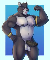 2023 adastra adastra_(series) amicus_(adastra) anthro areola armband artist_name balls barazoku bedroom_eyes biped bite blue_border blue_eyes blush border canid canine canis colored darolion echo_project erection facial_piercing flexing flexing_bicep front_view fur genitals glans gradient_background grey_body grey_fur hi_res humanoid_genitalia humanoid_penis lip_piercing looking_at_viewer male male_only mammal musclegut muscular muscular_anthro muscular_arms muscular_legs muscular_male narrowed_eyes nipples nude_anthro nude_male pecs penis piercing portrait pose pubes seductive shaded simple_background solo text thick_penis three-quarter_portrait tongue tongue_bite tongue_out wolf wristband