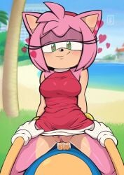 amy rose from sega by slr4rthur