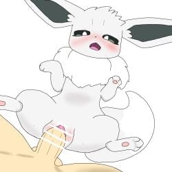 1:1 1boy 1girls 2025 4_toes balls blush canid canine censor_bar censored censored_penis censored_pussy clitoris colored digital_media_(artwork) duo eevee erection eyelashes feet female female_focus feral forced furry generation_1_pokemon genitals green_eyes grey_fur hi_res human human_on_feral interspecies looking_pleasured lying male male/female male_human/female_pokemon mammal nintendo nude_male on_back open_mouth pawpads penetration penis pink_pussy pokemon pokemon_(species) pokephilia pussy rape saliva saliva_string sex shaded shiny_eevee shiny_pokemon simple_background spread_legs sweat tagme tail two_tone_fur vaginal_penetration video_games white_background white_fur zoophilia