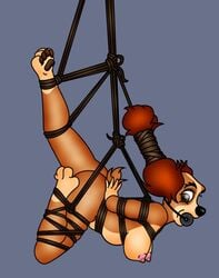 anthro bird_dog bit_gag bondage bound canid canine canis cocker_spaniel disney domestic_dog female folwilliar gag hunting_dog lady_(lady_and_the_tramp) lady_and_the_tramp mammal nipples rope rope_bondage rope_harness solo spaniel suspension suspension_bondage