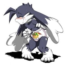 klonoa klonoa_(series) male_only popka tagme