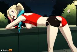 harley quinn from dc by rule34lab