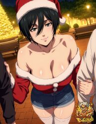 mikasa ackerman from attack on titan by coug