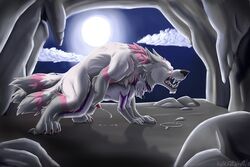 anal anatomically_correct anthro anthro_on_feral canine cave cum cum_while_penetrated cumshot duo ejaculation feral feral_penetrating_anthro kutekittykatt male mammal moon night orgasm outside paws penetration penis yaoi zoophilia