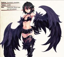 black_feathers black_harpy harpy kenkou_cross monster_girl_encyclopedia tagme