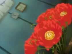 2girls 4:3_aspect_ratio animated anus ass audible_speech bare_ass bed blue_hair blush bodily_fluids breast-to-breast breast_press breasts brown_hair closed_eyes closed_mouth completely_nude cowgirl_position crimson_climax cunnilingus embarrassed eyewear feet female female_ejaculation female_only female_orgasm female_pubic_hair finger_sucking fingering fingering_another flower french_kiss genital_fluids glasses green_eyes hanging_breasts has_audio head_back heavy_breathing japanese_audio japanese_language kanazawa_katsuma kissing large_breasts large_filesize licking long_hair moaning multiple_girls nipple-to-nipple nipple_tweak nipples nude on_top open_mouth oral orgasm pillow pubic_hair ruka_(crimson_climax) ryou_inasa saliva screen_capture sex soles spread_legs sweat symmetrical_docking tagme talking trembling tribadism uncensored vagina vaginal_juices video vp8_(codec) yellow_eyes yuri