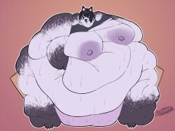 1girls cooooookin couch fat fat_female fat_fetish female fupa furry furry_female glasses obese obese_female ssbbw