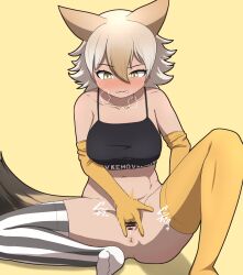 coyote (kemono friends) from kemono friends