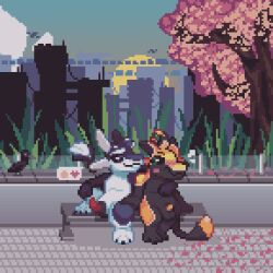 1:1 3_fingers 4_ears animal_genitalia animal_penis anisimovalex anthro avali avian balls beak bed bench big_tail biped bipedal_feral bird black_body black_feathers black_fur black_sclera blue_eyes blush blush_lines bottomless building casual_exposure casual_nudity city city_background claws clothed clothing cloud corvid countershading detailed_background digital_media_(artwork) duo embarrassed emoji erection feathers feet feral fingers fur furniture futuristic fyr_(fenrir784) genitals glass grass green_eyes hair hand_on_leg hand_over_shoulder heart_symbol hi_res highlights_(coloring) hug imminent_sex jackdaw long_tail looking_at_another looking_at_partner male male/male maleherm_(lore) multi_ear multicolored_body nude on_bed on_bench orange_body orange_fur orange_highlights orange_penis oscine outside park park_bench passerine paws penis penis_tip pixel_(artwork) plant public purple_eyes qamito raised_leg raised_leg_over_edge sheath shy sitting sitting_on_bed sky skyscape smile smug speech_bubble sunset tail tapering_penis toes tree tuft white_body white_feathers white_fur winged_arms wings