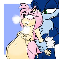 amy_rose anthro anthro_on_anthro anthro_penetrated anthro_penetrating_anthro arm_grab big_penis blue_eyes blush cum cum_in_pussy cum_inside dark_blue_fur from_behind_position grabbing_from_behind heavy_breathing inflation male_domination male_penetrating pink_fur sex simple_background sir_cums_a_lot size_difference sonic_(series) sonic_the_hedgehog sonic_the_werehog standing_sex stomach_bulge sweat sweatdrop werehog x-ray