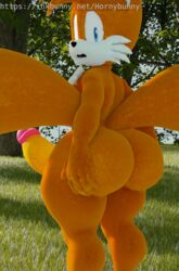 tails the fox from sonic (series) by hornybunny