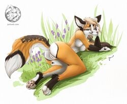 anthro anus ass blonde_hair breasts canid canine female fox genitals grass hair junisek looking_at_viewer mammal nipples nude pawpads pussy smile solo