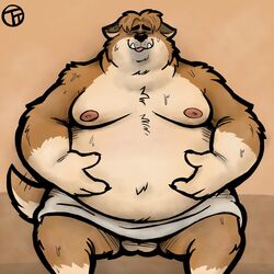 1:1 2020 anthro balls belly bodily_fluids brown_body brown_fur canid canine canis closed_eyes fur genitals hi_res male male_only mammal monster_smash moobs nipples overweight overweight_anthro overweight_male sitting solo solo_male sweat towel trashtoonz wolf