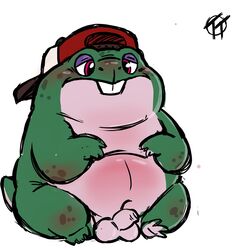 1:1 2020 amphibian anthro balls belly blush bucket_(trashtoonz) clothing frog genitals green_body hat headgear headwear hi_res male male_only navel overweight overweight_anthro overweight_male penis simple_background sitting solo solo_male trashtoonz white_background