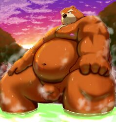 2020 absurd_res anthro balls bathing belly brown_body brown_fur fur genitals hi_res kemono kumajjjj male male_only mammal moobs nipples outside overweight overweight_anthro overweight_male penis solo solo_male ursid water