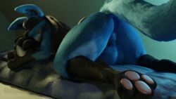 3d animated anthro ass balls canid canine canis feodaron_sd genitals gif inereigan kuroodod lucario male male_only mammal nintendo pawpads paws perineum pokemon pokemon_(species) short_playtime sleeping solo solo_male tent video_games