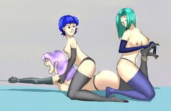 farina_(fire_emblem) female fiora_(fire_emblem) fire_emblem fire_emblem:_the_blazing_blade florina_(fire_emblem) polarbearnsfw purple_hair