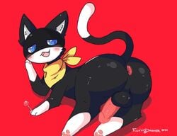 1boy anthro anus ass atlus balls blue_eyes blush feline femboy fluffydasher looking_back male_only morgana_(persona) open_mouth penis persona persona_5 solo_male tagme