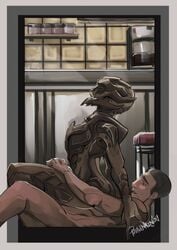 2018 alien ambiguous_penetration border brown_body brown_skin duo female female_on_top female_penetrated hi_res human human_on_humanoid human_penetrating human_penetrating_humanoid humanoid humanoid_penetrated interspecies male male_on_bottom male_penetrating male_penetrating_female mammal mass_effect nude on_bottom on_top palavenmoons penetration penile penile_penetration reverse_cowgirl_position sex side_view straight turian video_games white_border