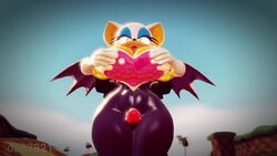 1boy 1girls 3d 3d_model 4:3 5_fingers animated bat bat_wings big_thighs blue_eyeliner chiropteran dan7821 from_behind gloves grinding groping hands_on_breasts hedgehog highres large_breasts mammal mobian mobian_(species) mobian_bat mp4 no_humans no_sound pointy_ears rouge_the_bat sega shadow_the_hedgehog simple_background sonic_(series) sonic_adventure_2 sonic_the_hedgehog_(series) source_filmmaker straight straight_sex teal_eyes teasing thick_penis thighjob unitard video white_hair