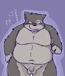 2013 anthro balls belly blush domestic_cat felid feline felis flaccid genitals himitsuri_no_lagoon japanese_text kemono lagoon_lounge male male_only mammal moobs navel nipples overweight overweight_male penis simple_background snow_utamaru solo text white_background yamato_(character)